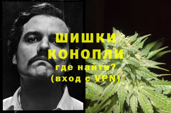 PSILOCYBIN Нефтекумск