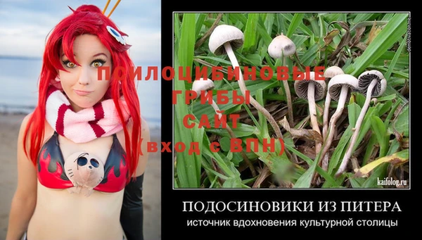 PSILOCYBIN Нефтекумск