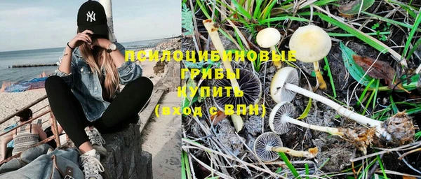 PSILOCYBIN Нефтекумск