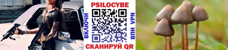 Псилоцибиновые грибы прущие грибы  закладки  Питкяранта 